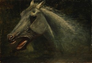 Un étalon sauvage - Albert Bierstadt